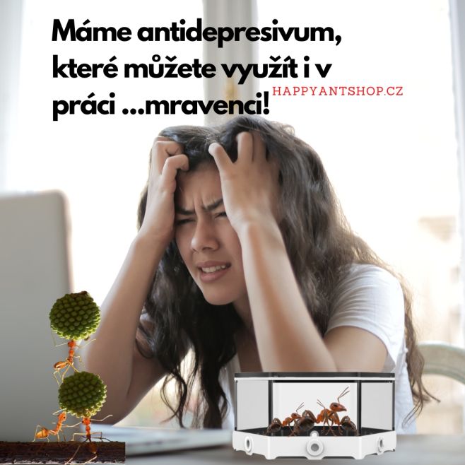 S Novým 🥳 rokem toho na nás může být hodně a to třeba i v práci! 🤯 Naplňovat nové milníky , být více efektivní a...